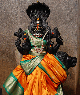 PARVATHYANKARA DEVI FIRE RITUAL